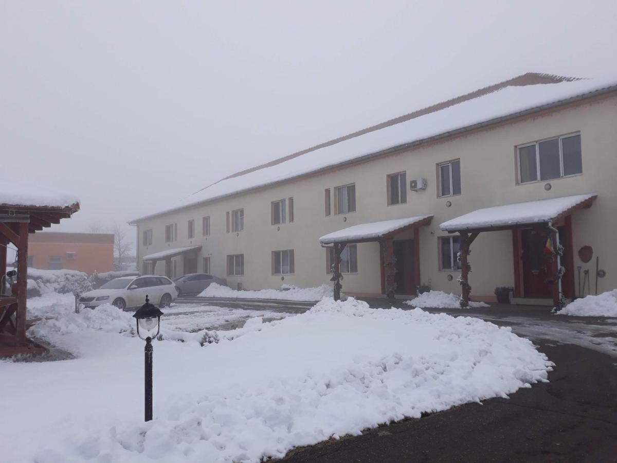 Vila Zoppas Inn Sinnicolau Mare Exterior photo